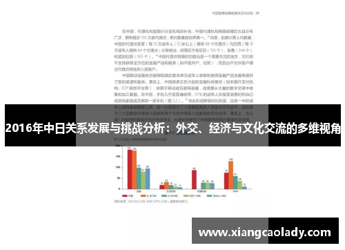 2016年中日关系发展与挑战分析：外交、经济与文化交流的多维视角