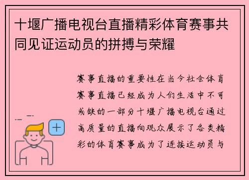 十堰广播电视台直播精彩体育赛事共同见证运动员的拼搏与荣耀
